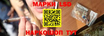 соль ск Будённовск
