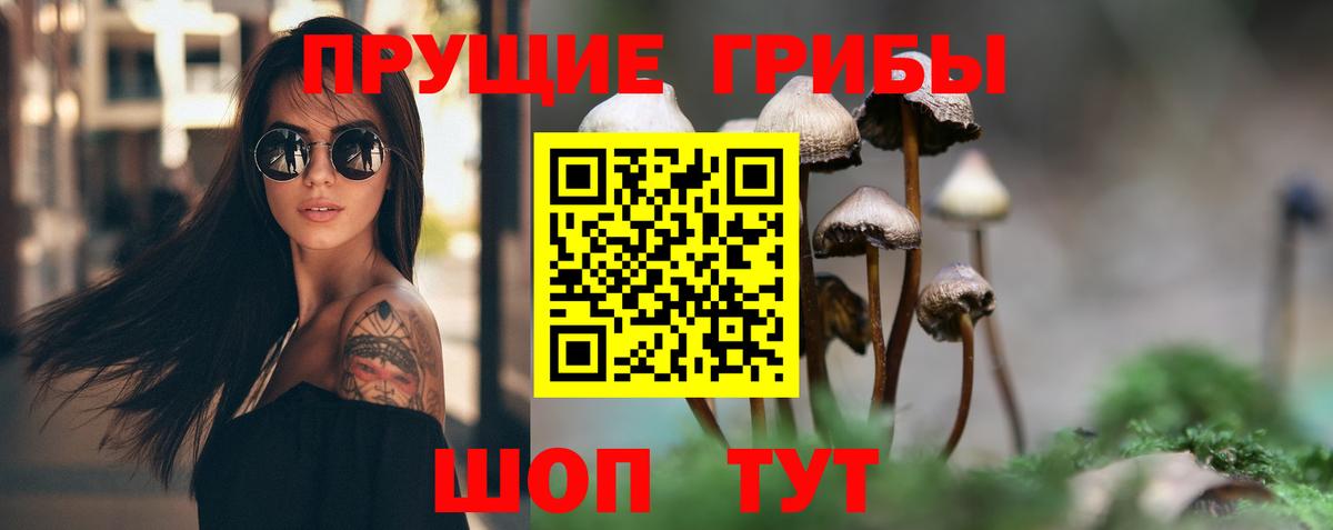 Псилоцибиновые грибы мицелий  Вход с VPN  Нефтекамск 